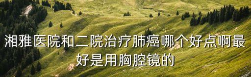 湘雅醫(yī)院和二院治療肺癌哪個好點啊最好是用胸腔鏡的