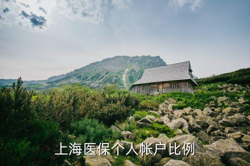 上海市醫(yī)保比例調(diào)整，上海醫(yī)保個人帳戶比例