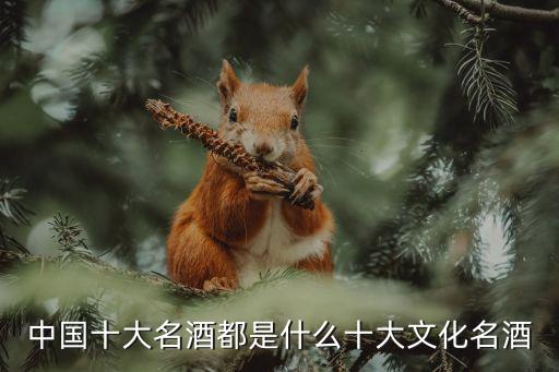 中國三大名酒，中國十大名酒都是什么十大文化名酒
