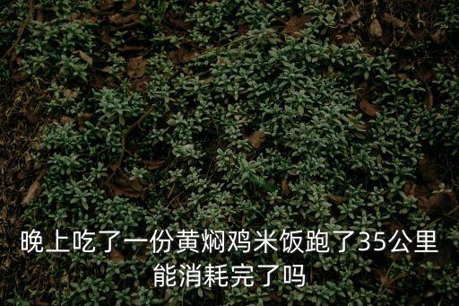 黃燜雞的熱量，雞肉的熱量是多少