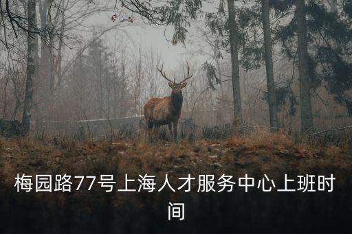 梅園路77號上海人才服務中心上班時間