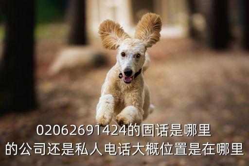 廣州廣研博峰市場調研座機，02062691424的固話是哪里的公司還是私人電話大概位置是在哪里