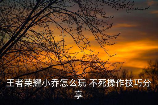 小喬王者榮耀，王者榮耀小喬值不值得入手 小喬好用嗎說明