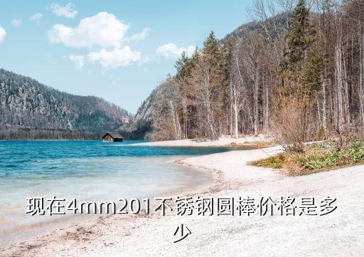 廣州201不銹鋼圓棒，201材質的4mm圓棒是不是不好車牙這個到底有多困難