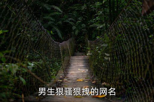 騷氣的網名男生，誰能給我弄個 風騷 點的男網名 如果好的我給20分