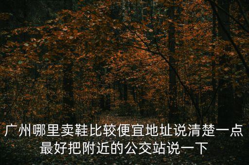 廣州哪里賣(mài)鞋比較便宜地址說(shuō)清楚一點(diǎn)最好把附近的公交站說(shuō)一下