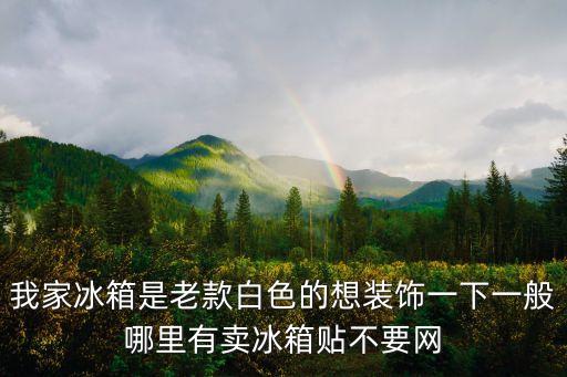我家冰箱是老款白色的想裝飾一下一般哪里有賣冰箱貼不要網