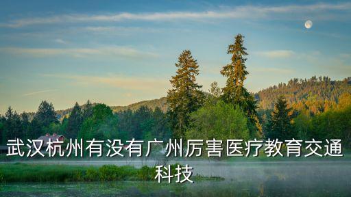 武漢杭州有沒有廣州厲害醫療教育交通科技