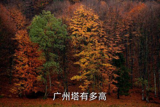 廣州塔大概多少米高，廣州塔有多高
