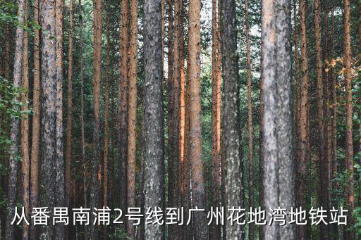 番禺地鐵站到廣州花地灣怎么走，從番禺南浦2號線到廣州花地灣地鐵站