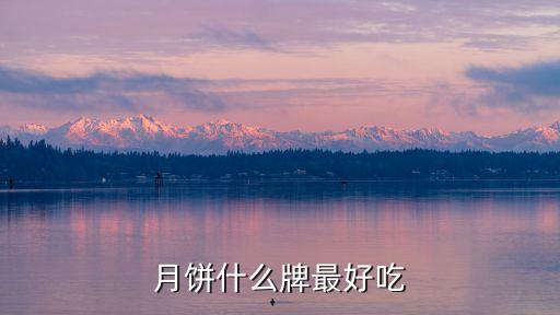 月餅什么牌最好吃