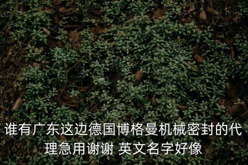 誰有廣東這邊德國博格曼機(jī)械密封的代理急用謝謝 英文名字好像