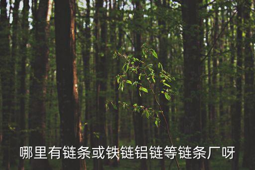 哪里有鏈條或鐵鏈鋁鏈等鏈條廠呀