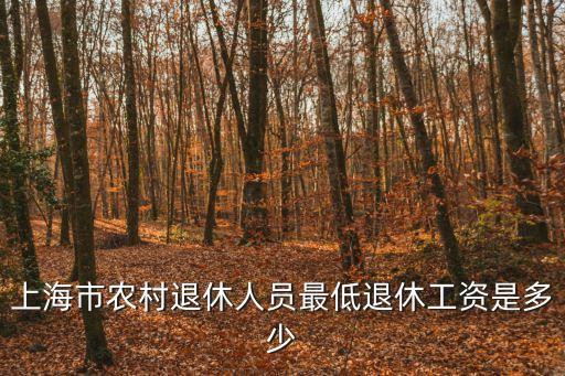 上海市退休村干部待遇，上海市農村退休人員最低退休工資是多少