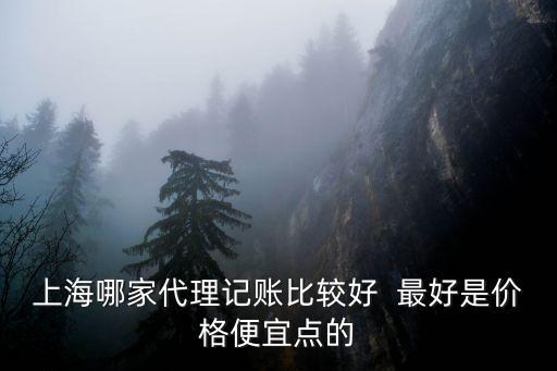 上海市正規(guī)的代理記賬公司，上海哪家代理記賬公司信譽度最好
