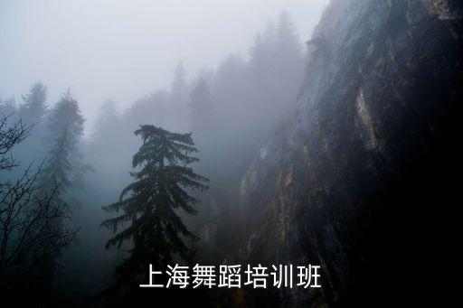 上海舞蹈培訓班