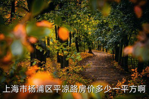上海市楊浦區(qū)平?jīng)雎贩績r多少一平方啊