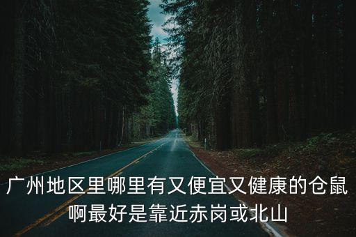 廣州地區(qū)里哪里有又便宜又健康的倉鼠啊最好是靠近赤崗或北山