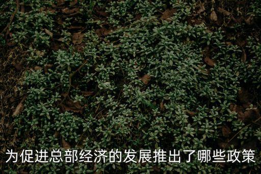 上海市商務委總部經濟，商務總部經濟名詞解釋