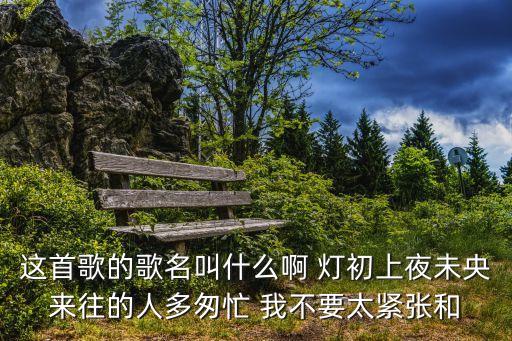 燈初上夜未央，這首歌的歌名叫什么啊 燈初上夜未央來往的人多匆忙 我不要太緊張和