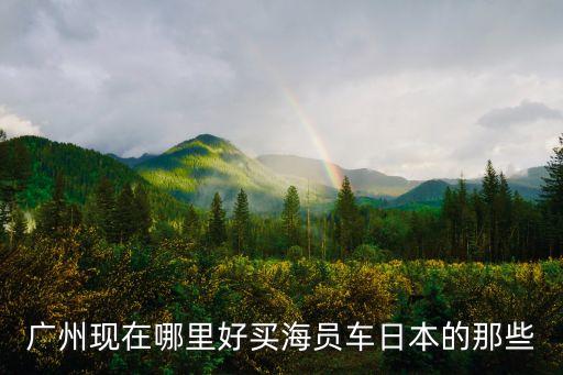 廣州現(xiàn)在哪里好買海員車日本的那些