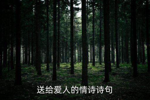 送給愛人的情詩詩句