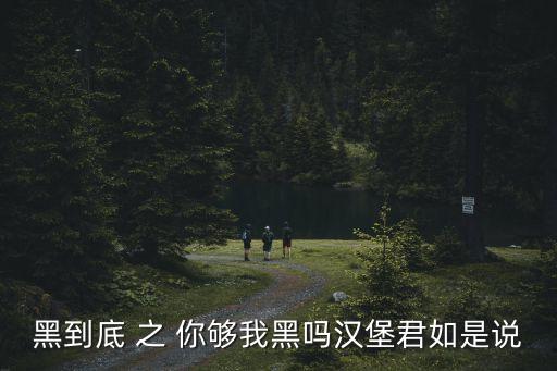 廣州卷毛哥解說漢堡，黑到底 之 你夠我黑嗎漢堡君如是說