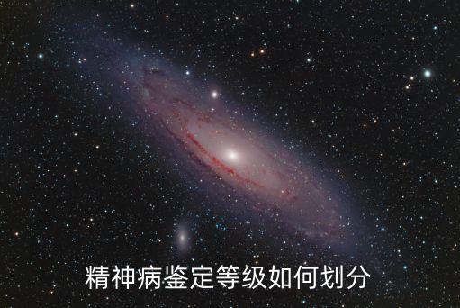 o一6級精神病，神經病分幾個級別