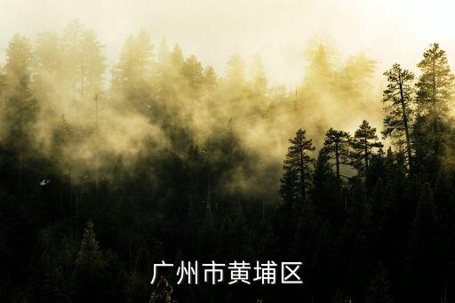 廣州黃埔區(qū)文沖收回宅基地，廣州市黃埔區(qū)