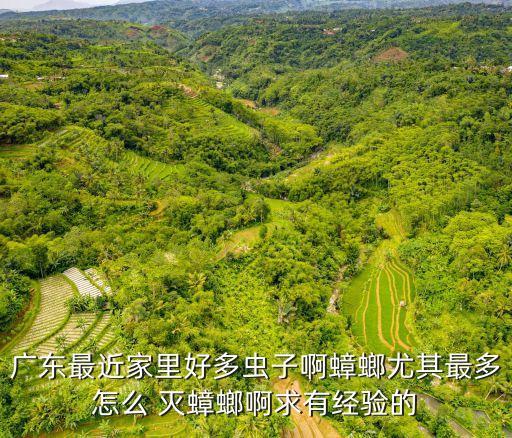 廣州家里多了小蟲，人在廣州十月中上旬開始家里出現了這種蟲子很小但是數量