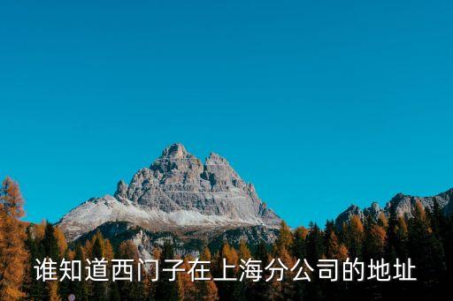 誰知道西門子在上海分公司的地址