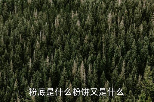 粉底，粉底是什么