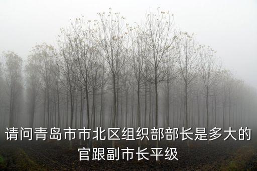 上海市 青島市組織部長，青島市委組織部 朱慧寧從事什么工作