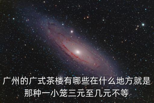 廣州的廣式茶樓有哪些在什么地方就是那種一小籠三元至幾元不等
