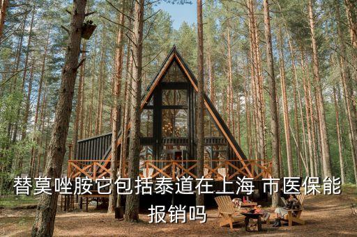 上海市醫保 分子靶向藥物，替莫唑胺它包括泰道在上海 市醫保能報銷嗎