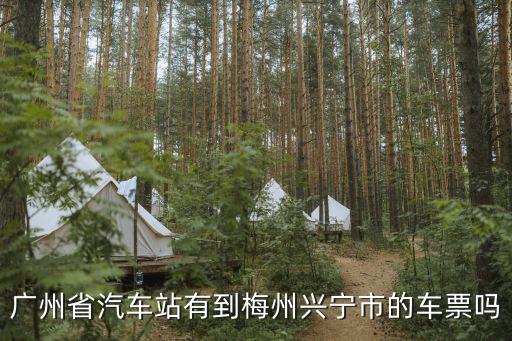 廣州省汽車站有到梅州興寧市的車票嗎