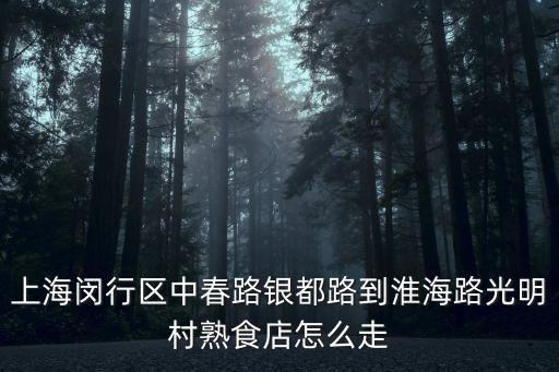 上海市淮海路光明村，上海閔行區中春路銀都路到淮海路光明村熟食店怎么走