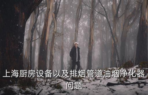 上海廚房設(shè)備以及排煙管道油煙凈化器問題