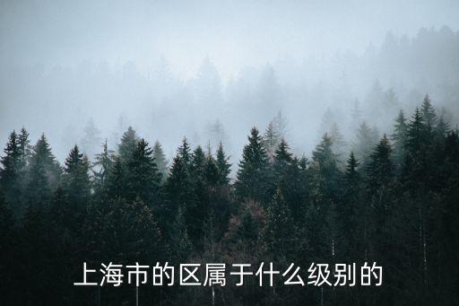 上海市的區(qū)屬于什么級(jí)別的