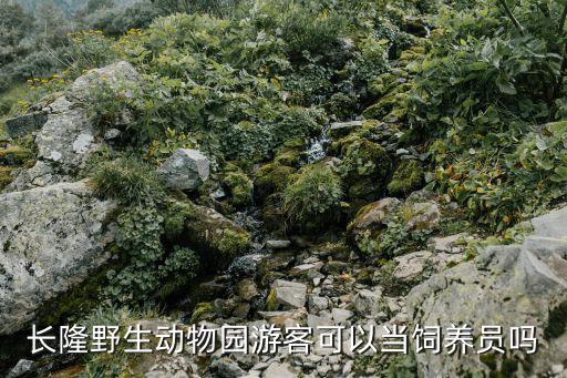 廣州長隆飼養員報名條件，廣州長隆現在是否在招人
