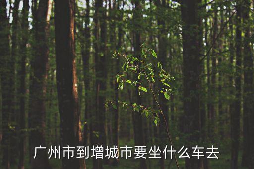 廣州市到增城市要坐什么車去