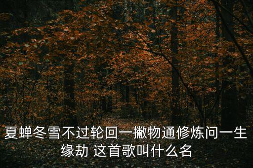 夏蟬冬雪不過輪回一撇物通修煉問一生緣劫 這首歌叫什么名