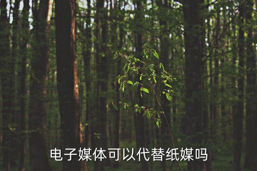 電子媒體，什么是電子媒體