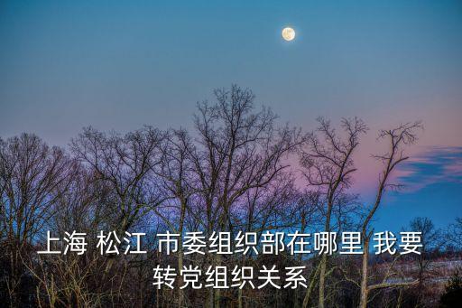 上海 松江 市委組織部在哪里 我要轉(zhuǎn)黨組織關(guān)系