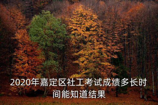2020年嘉定區社工考試成績多長時間能知道結果