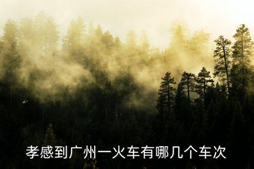 孝感東站到廣州南站的車次，孝感K599火車到廣州是什么時間