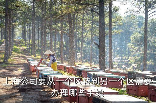 上海公司要從一個區轉到另一個區需要辦理哪些手續