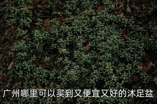 廣州哪里可以買到又便宜又好的沐足盆