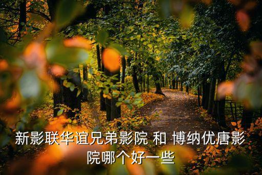新影聯(lián)華誼兄弟影院 和 博納優(yōu)唐影院哪個好一些