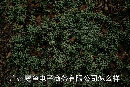 廣州魅魚網絡科技有限公司怎么樣，廣東博成網絡科技有限公司怎么樣